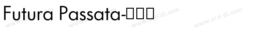 Futura Passata字体转换